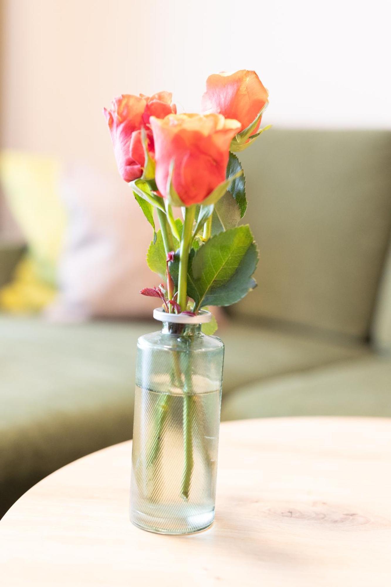 Appartementdeluxe Steiert - Near Europa Park - Rulantica - Spacious - Fully Equipped Kitchen - Private Garden - Free Parking - Pet Friendly Schwanau Ngoại thất bức ảnh